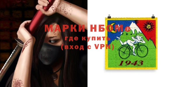 индика Алексин