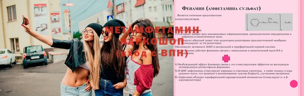 гидропоника Алзамай