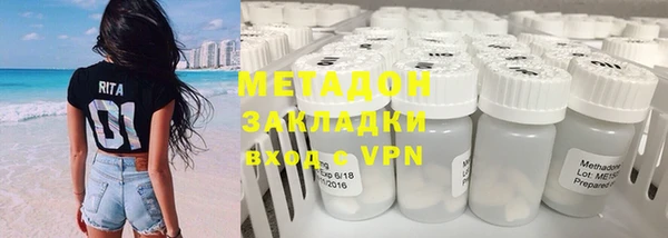 индика Алексин