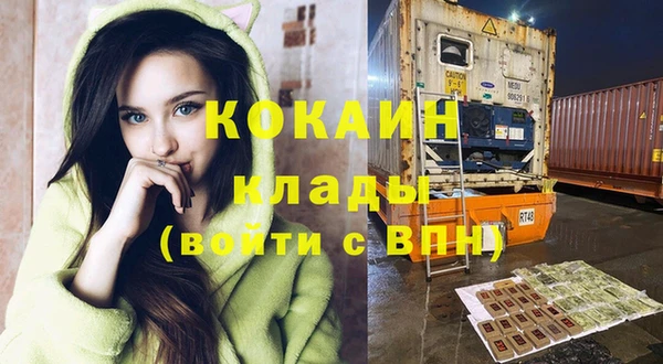гидропоника Алзамай