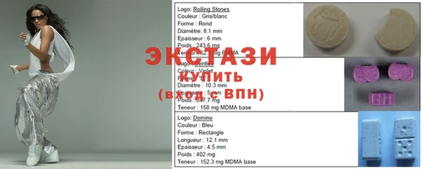 индика Алексин