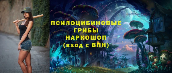 гидропоника Алзамай