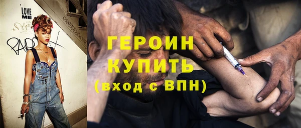 индика Алексин