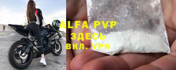 индика Алексин