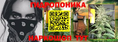 jwh Кинель
