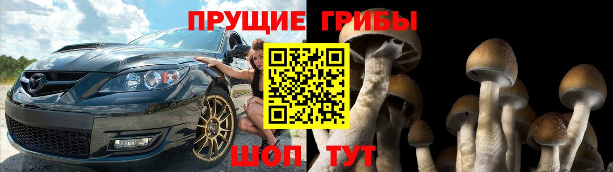 Галлюциногенные грибы мицелий  Вход с VPN  Менделеевск 